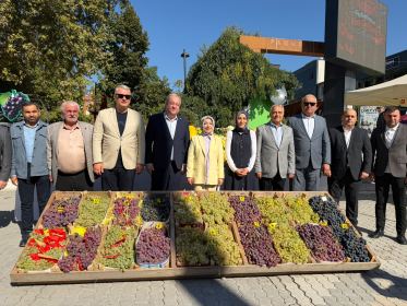 Başkanımız Muzaffer Kabacan, Pamukova Ayva ve Yöresel Ürünler Festivali’ne katıldı - Fotoğraf 6