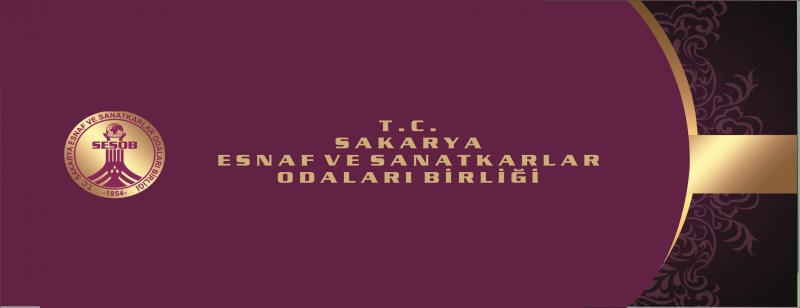Esnaf ve Sanatkârlar Meslek Kollarının NACE'ye uyarlanması hk. çalışması