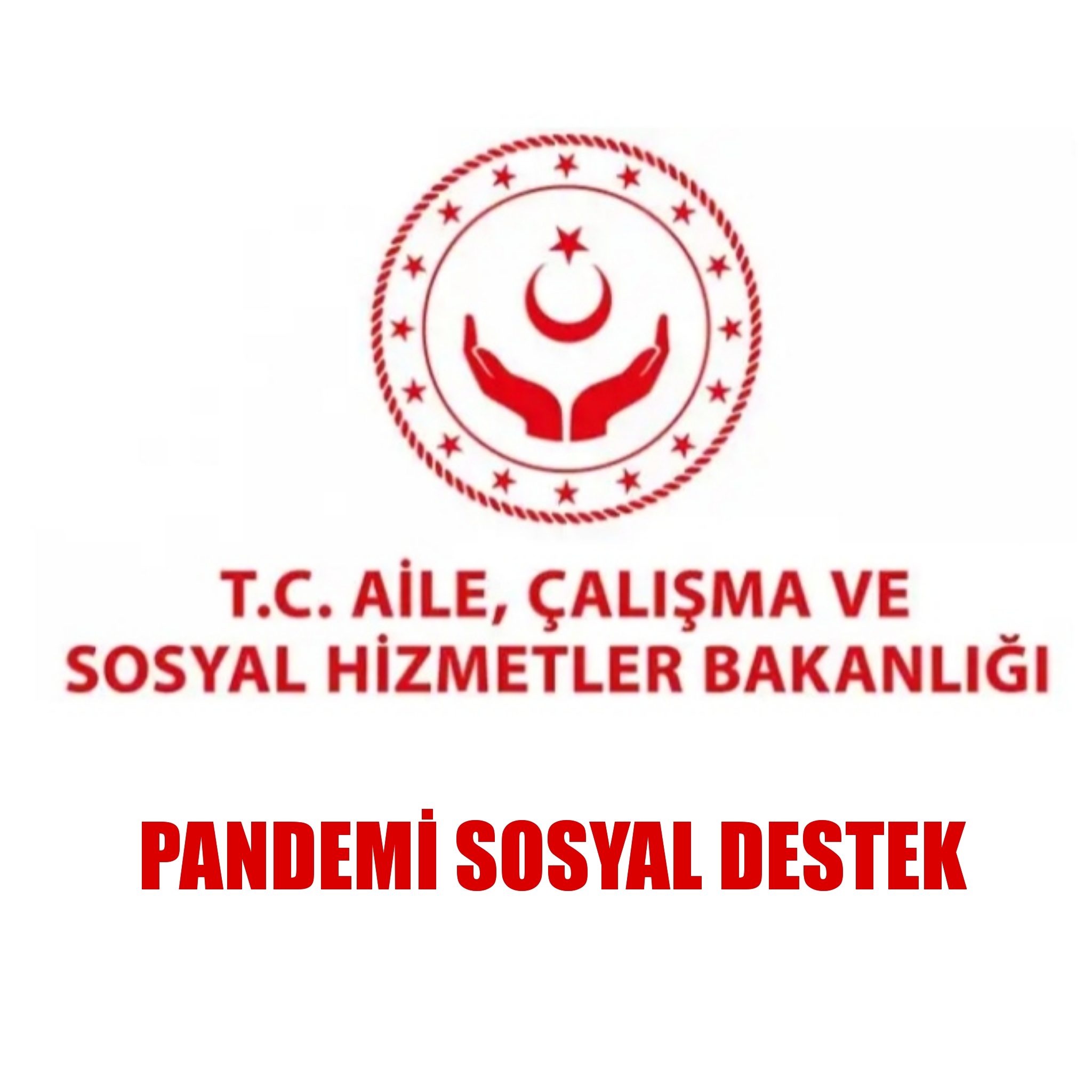 PANDEMİ SOSYAL DESTEK PROGRAMI İLE 1000 TL